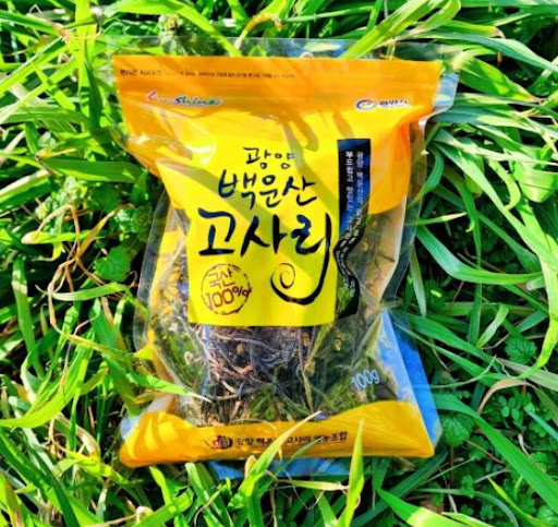전라남도 광양산 고사리 600g: 한 손에 담은 자연의 선물