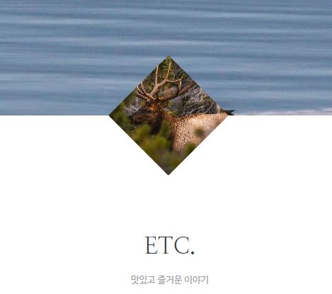 태상의 미니샵이 집콕라이프 시대의 정보 거점이 된 배경